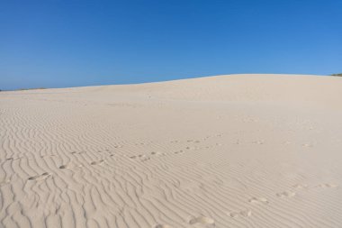 Blue skies and sunshine, along with a light breeze, allow the sand of a dune to create stunning patterns. Landscape shot with waves and patterns on the sand at Duna de Valdevaqueros, Tarifa, Andalusia, Spain