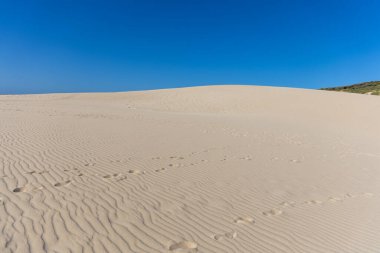 Blue skies and sunshine, along with a light breeze, allow the sand of a dune to create stunning patterns. Landscape shot with waves and patterns on the sand at Duna de Valdevaqueros, Tarifa, Andalusia, Spain