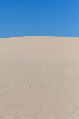 Blue skies and sunshine, along with a light breeze, allow the sand of a dune to create stunning patterns. Landscape shot with waves and patterns on the sand at Duna de Valdevaqueros, Tarifa, Andalusia, Spain