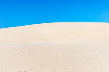 Blue skies and sunshine, along with a light breeze, allow the sand of a dune to create stunning patterns. Landscape shot with waves and patterns on the sand at Duna de Valdevaqueros, Tarifa, Andalusia, Spain