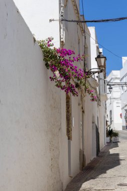 Şehir, sokaklar, dar sokaklar, Akdeniz 'de harika bir şehir hayatı. Tarifa, Costa de la Luz, Cdiz, Endülüs, İspanya