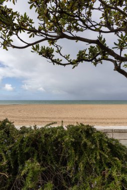 Ein wunderschner, feiner, breiter Sandstrand, menschenleer an der Atlantikkste. Steinpier am Strand von Rota, Playa de la Costilla, Costa de la Luz, Cdiz, Andalusien, Spanien.