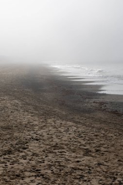 Güzel, güzel, geniş kumlu bir sahil, Atlantik kıyısında ıssız. Sabahın erken saatlerinde Rota, Playa de la Costilla, Costa de la Luz, Cdiz, Endülüs, İspanya.