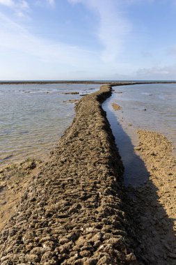 Deniz hayvanlarının sular çekildiğinde yıkandığı uzun duvarlarla inşa edilmiş antik kumtaşı havuzları olan büyüleyici bir doğal anıt. Los Corrales de Rota, Cadiz, Endülüs, İspanya