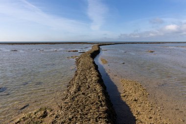 Deniz hayvanlarının sular çekildiğinde yıkandığı uzun duvarlarla inşa edilmiş antik kumtaşı havuzları olan büyüleyici bir doğal anıt. Los Corrales de Rota, Cadiz, Endülüs, İspanya