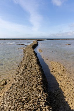 Deniz hayvanlarının sular çekildiğinde yıkandığı uzun duvarlarla inşa edilmiş antik kumtaşı havuzları olan büyüleyici bir doğal anıt. Los Corrales de Rota, Cadiz, Endülüs, İspanya