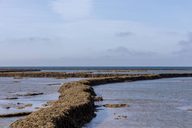 Deniz hayvanlarının sular çekildiğinde yıkandığı uzun duvarlarla inşa edilmiş antik kumtaşı havuzları olan büyüleyici bir doğal anıt. Los Corrales de Rota, Cadiz, Endülüs, İspanya