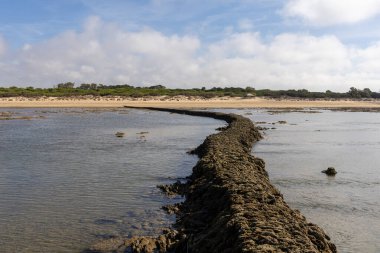 Sahile bakan uzun duvarlarla çevrili antik kumtaşı havuzları olan büyüleyici bir doğal anıt. Los Corrales de Rota, Cdiz, Endülüs, İspanya