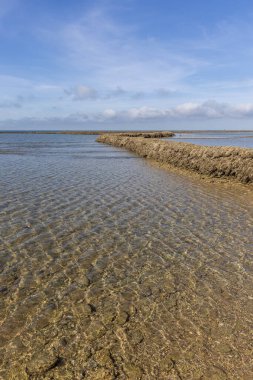 Sahile bakan uzun duvarlarla çevrili antik kumtaşı havuzları olan büyüleyici bir doğal anıt. Los Corrales de Rota, Cdiz, Endülüs, İspanya