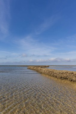 Deniz hayvanlarının sular çekildiğinde yıkandığı uzun duvarlarla inşa edilmiş antik kumtaşı havuzları olan büyüleyici bir doğal anıt. Los Corrales de Rota, Cadiz, Endülüs, İspanya