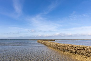 Deniz hayvanlarının sular çekildiğinde yıkandığı uzun duvarlarla inşa edilmiş antik kumtaşı havuzları olan büyüleyici bir doğal anıt. Los Corrales de Rota, Cadiz, Endülüs, İspanya