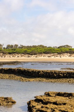 Sahile bakan uzun duvarlarla çevrili antik kumtaşı havuzları olan büyüleyici bir doğal anıt. Los Corrales de Rota, Cdiz, Endülüs, İspanya