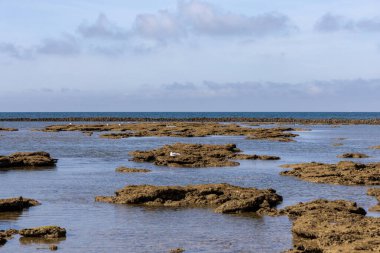 Deniz hayvanlarının sular çekildiğinde yıkandığı uzun duvarlarla inşa edilmiş antik kumtaşı havuzları olan büyüleyici bir doğal anıt. Los Corrales de Rota, Cadiz, Endülüs, İspanya