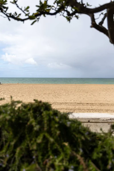 Güzel, güzel, geniş kumlu bir sahil, Atlantik kıyısında ıssız. Sabahın erken saatlerinde Rota, Playa de la Costilla, Costa de la Luz, Cdiz, Endülüs, İspanya.