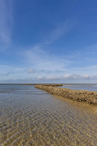 Deniz hayvanlarının sular çekildiğinde yıkandığı uzun duvarlarla inşa edilmiş antik kumtaşı havuzları olan büyüleyici bir doğal anıt. Los Corrales de Rota, Cadiz, Endülüs, İspanya