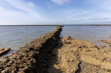 Deniz hayvanlarının sular çekildiğinde yıkandığı uzun duvarlarla inşa edilmiş antik kumtaşı havuzları olan büyüleyici bir doğal anıt. Los Corrales de Rota, Cadiz, Endülüs, İspanya