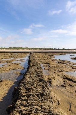 Sahile bakan uzun duvarlarla çevrili antik kumtaşı havuzları olan büyüleyici bir doğal anıt. Los Corrales de Rota, Cdiz, Endülüs, İspanya