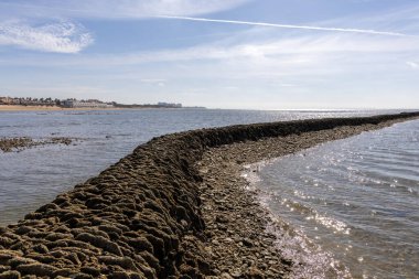 Sahile bakan uzun duvarlarla çevrili antik kumtaşı havuzları olan büyüleyici bir doğal anıt. Los Corrales de Rota, Cdiz, Endülüs, İspanya