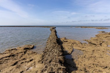 Deniz hayvanlarının sular çekildiğinde yıkandığı uzun duvarlarla inşa edilmiş antik kumtaşı havuzları olan büyüleyici bir doğal anıt. Los Corrales de Rota, Cadiz, Endülüs, İspanya