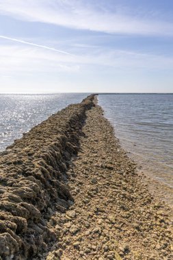 Deniz hayvanlarının sular çekildiğinde yıkandığı uzun duvarlarla inşa edilmiş antik kumtaşı havuzları olan büyüleyici bir doğal anıt. Los Corrales de Rota, Cadiz, Endülüs, İspanya
