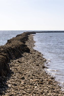 Deniz hayvanlarının sular çekildiğinde yıkandığı uzun duvarlarla inşa edilmiş antik kumtaşı havuzları olan büyüleyici bir doğal anıt. Los Corrales de Rota, Cadiz, Endülüs, İspanya