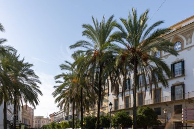 Sabah eski binalarla eski caddeleri seyredeceğiz. Tarihi eski kentte güzel bir ışık, Jerez de la Frontera, Cdiz ili, Endülüs, İspanya.