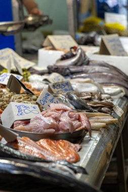 Balık tezgahı, Abastos Merkez Pazarı 'nda balık satışı Jerez de la Frontera, Cdiz ili, Endülüs, İspanya.