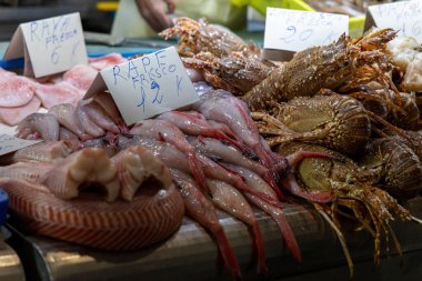 Balık tezgahı, Abastos Merkez Pazarı 'nda balık satışı Jerez de la Frontera, Cdiz ili, Endülüs, İspanya.
