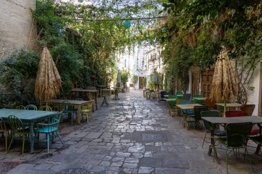 Bir sürü yeşil bitkinin olduğu küçük bir ara sokak. Renkli masalar, sandalyeler ve bir restoranın dekorasyonları. Eski tarihi kasaba, Jerez de la Frontera, Cdiz ili, Endülüs, İspanya.