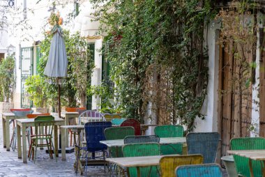 Bir sürü yeşil bitkinin olduğu küçük bir ara sokak. Renkli masalar, sandalyeler ve bir restoranın dekorasyonları. Eski tarihi kasaba, Jerez de la Frontera, Cdiz ili, Endülüs, İspanya.