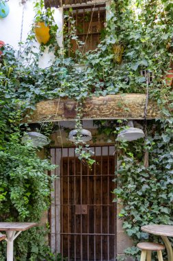 Bir sürü yeşil bitkinin olduğu küçük bir ara sokak. Renkli masalar, sandalyeler ve bir restoranın dekorasyonları. Eski tarihi kasaba, Jerez de la Frontera, Cdiz ili, Endülüs, İspanya.