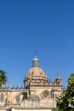 Katolik Kilisesi 'nin manzarası. Jerez de la Frontera Katedrali Lordumuz Aziz Salvador Koleji Kilisesi. Eski tarihi kasaba, Jerez de la Frontera, Cdiz ili, Endülüs, İspanya.