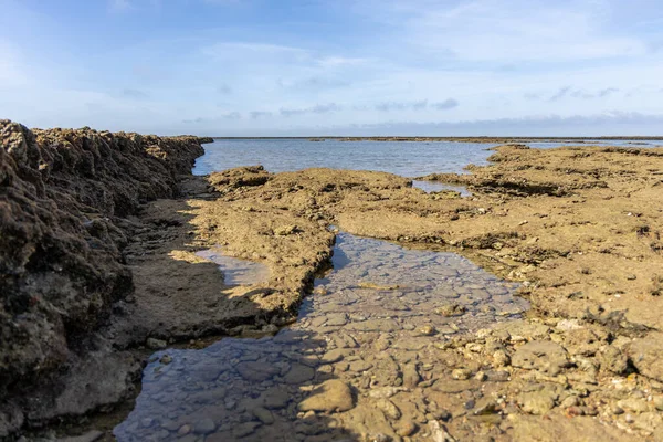 Deniz hayvanlarının sular çekildiğinde yıkandığı uzun duvarlarla inşa edilmiş antik kumtaşı havuzları olan büyüleyici bir doğal anıt. Los Corrales de Rota, Cadiz, Endülüs, İspanya