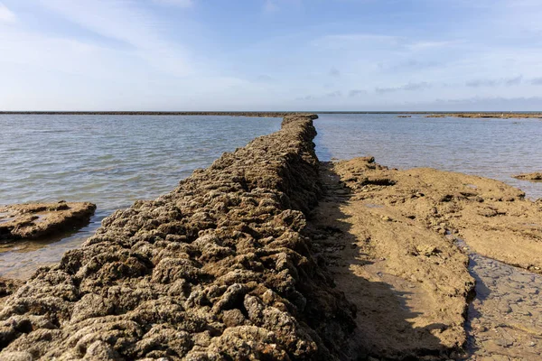 Deniz hayvanlarının sular çekildiğinde yıkandığı uzun duvarlarla inşa edilmiş antik kumtaşı havuzları olan büyüleyici bir doğal anıt. Los Corrales de Rota, Cadiz, Endülüs, İspanya