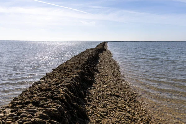 Deniz hayvanlarının sular çekildiğinde yıkandığı uzun duvarlarla inşa edilmiş antik kumtaşı havuzları olan büyüleyici bir doğal anıt. Los Corrales de Rota, Cadiz, Endülüs, İspanya
