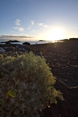 La Palma 'daki Los Cancajos' un kara kumsalında gün doğumu. Volkanik kayaların arkasında güneş patlaması var..