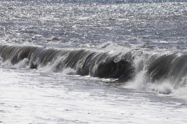 Büyük bir Atlantik dalgası Tazacorte sahiline çarpıyor. Beyaz köpük ve spreyle kırılan turkuaz suyun yakın çekimi denizin evcilleştirilmemiş gücünü gösteriyor. La Palma, Kanarya Adaları, İspanya