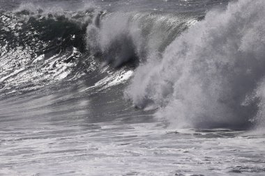 Büyük bir Atlantik dalgası Tazacorte sahiline çarpıyor. Beyaz köpük ve spreyle kırılan turkuaz suyun yakın çekimi denizin evcilleştirilmemiş gücünü gösteriyor. La Palma, Kanarya Adaları, İspanya