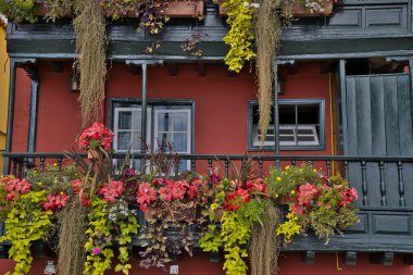 Santa Cruz de La Palma 'nın geleneksel ve tarihi ahşap balkonları. İspanya 'nın Kanarya Adaları' nın tarihi bir simgesi olan Avenida Maritima 'daki görkemli çiçek sergileriyle ünlü, renkli, tipik koloni evleri..