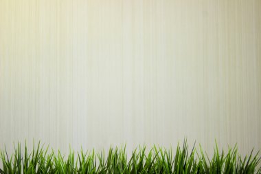 Yeşil çimen Isolated ahşap beyaz arka plan üzerinde