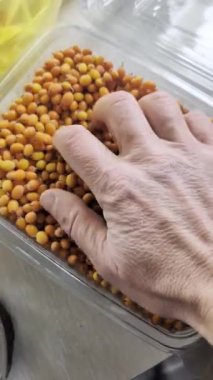 El değmemiş hardal tohumlarına temiz tepside dokunmak, dokunsal teftişe yakın durmak ve paslanmaz ölçek ve kaşık ayırmak için...