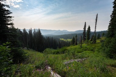 Oregon 'daki Hood Dağı' nda Elk Meadows 'un üzerinde sabah ışığı.