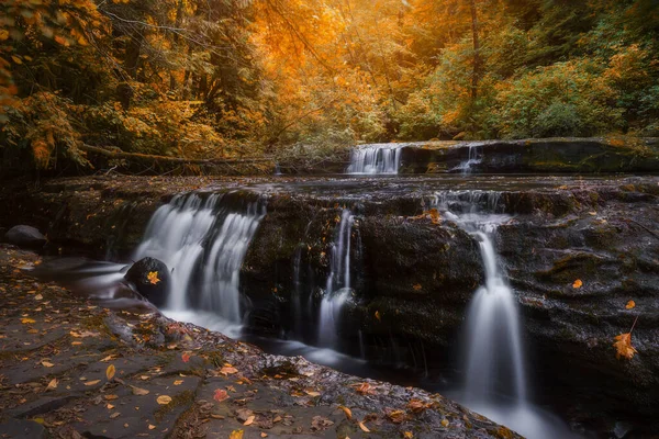 Schöner Herbst Laub Und Kaskaden Bach Wasserfall Herbst Wald Von — Stockfoto