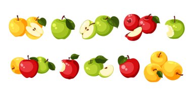 Çizgi film elması meyvesi. Elma dilimleri ve taze meyve bahçeleri. Turta veya reçel için kırmızı, yeşil ve sarı ham vegan bileşenleri, müstehcen vektör besin klibiti, vektör illüstrasyonu