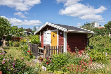 Stockholm 'deki geleneksel İsveç tahsis bahçesindeki kırmızı ahşap kulübe. Etrafı yeşillik ve çiçeklerle çevrili küçük İskandinav yazlığı mevsimlik yaşam, hafta sonu rahatlama ve kırsal kaçış için kullanılıyor. Samimi bahçe kulübesi, açık hava.
