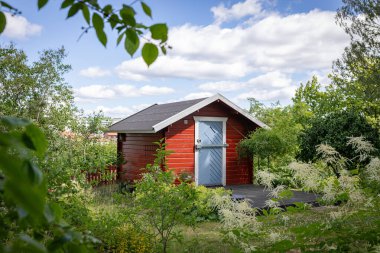 Stockholm 'deki geleneksel İsveç tahsis bahçesindeki kırmızı ahşap kulübe. Etrafı yeşillik ve çiçeklerle çevrili küçük İskandinav yazlığı mevsimlik yaşam, hafta sonu rahatlama ve kırsal kaçış için kullanılıyor. Samimi bahçe kulübesi, açık hava.