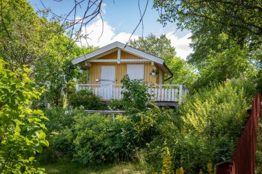 Stockholm 'deki geleneksel İsveç tahsis bahçesindeki sarı ahşap kulübe. Etrafı yeşillik ve çiçeklerle çevrili küçük İskandinav yazlığı mevsimlik yaşam, hafta sonu rahatlama ve kırsal kaçış için kullanılıyor. Samimi bahçe kulübesi, açık hava.