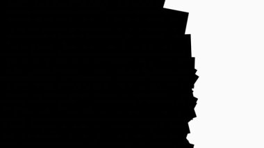 Siyah ve Beyaz Yatay Arkaplan Geçiş Animasyonu