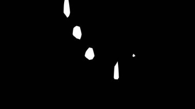 Siyah ve beyaz şekillerin soyut animasyonu