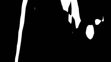 Siyah ve beyaz şekillerin soyut animasyonu